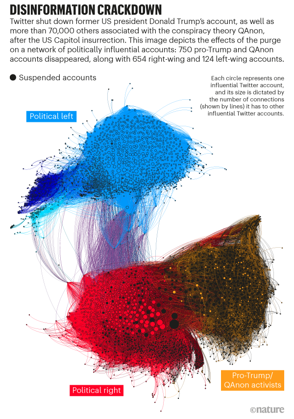 A network visualization, excerpted from an article too zoomed out to read titled Disinformation Crackdown.